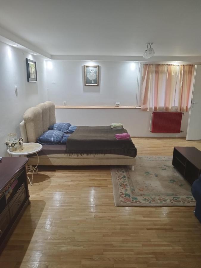 Apartment Goksi
